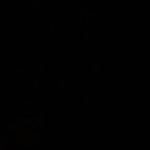 Meet your Posher, Krisharia